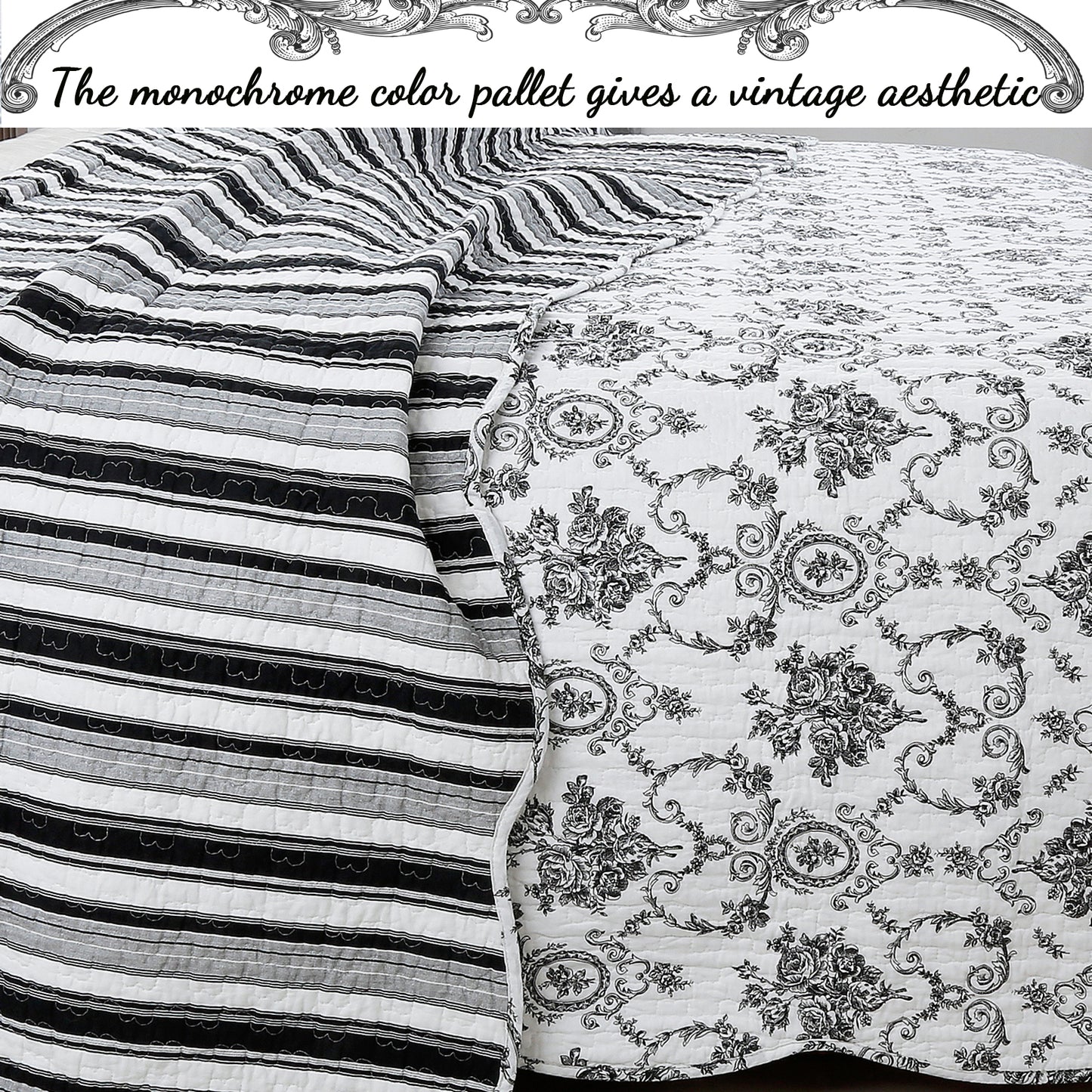 French Medallion Black Scalloped Edge Cotton 3-piece Reversible Quilt Bedding Set