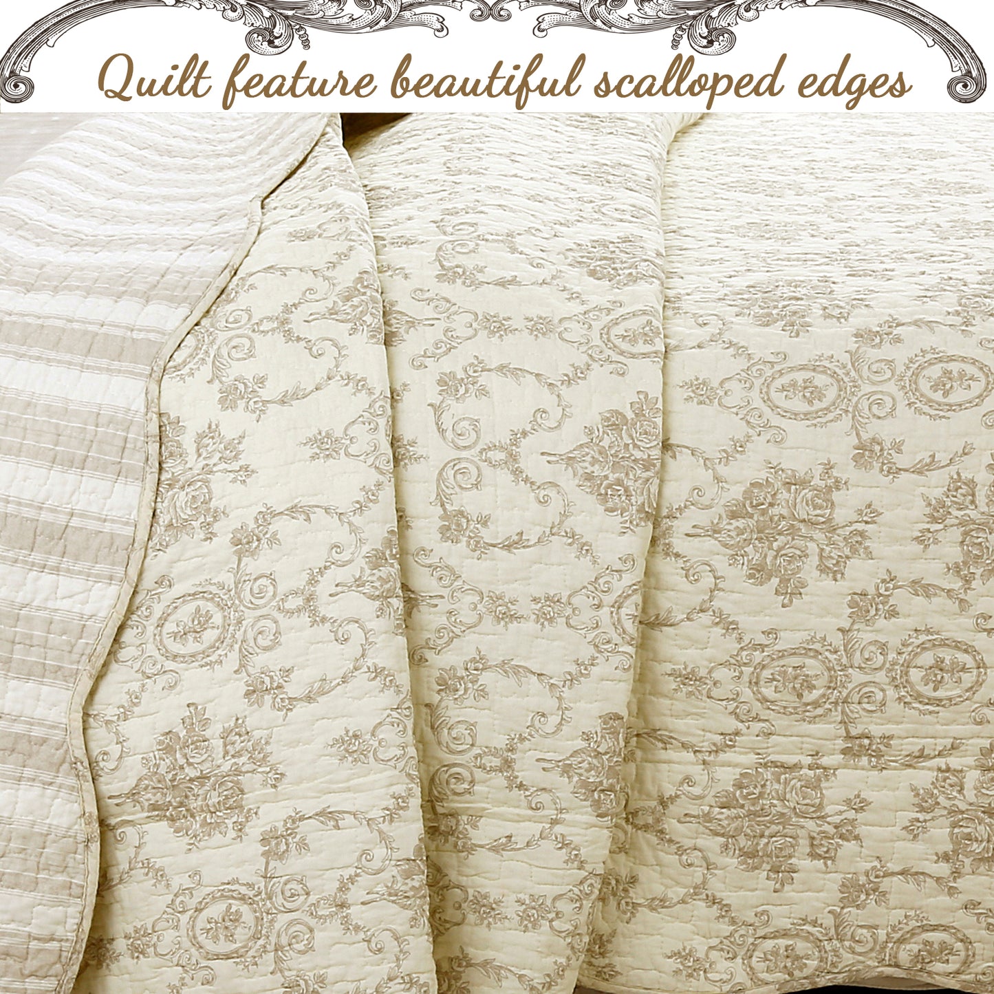 French Medallion Ivory Scalloped Edge Cotton 3-piece Reversible Quilt Bedding Set
